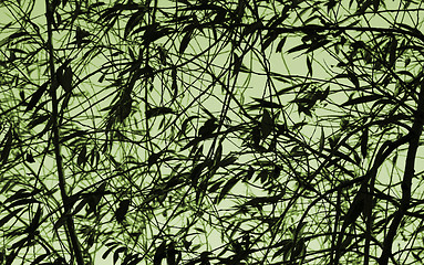 Image showing background of leaves