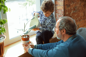 Image showing Grandfather and his grandson spending time insulated at home, having fun, caring for plants, watering