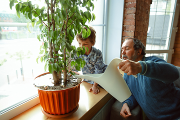 Image showing Grandfather and his grandson spending time insulated at home, having fun, caring for plants, watering