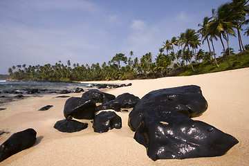 Image showing summer paradise landscape