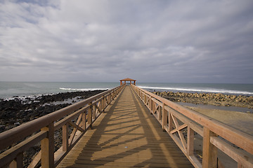 Image showing The path in the tropical pier