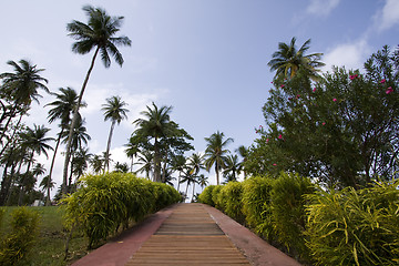 Image showing the path to the tropical vacation