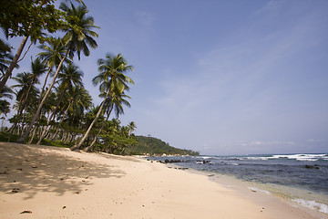 Image showing beach at the paradise