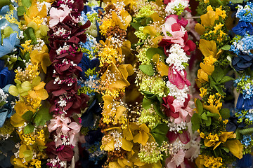 Image showing flower background