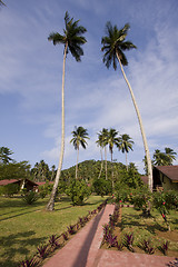 Image showing The path in the resort