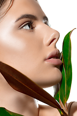 Image showing Inspiration. Close up of beautiful young woman with green leaves on her face over white background. Cosmetics and makeup, natural and eco treatment, skin care
