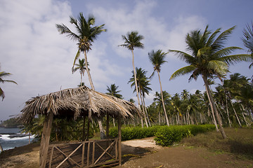 Image showing The paradise