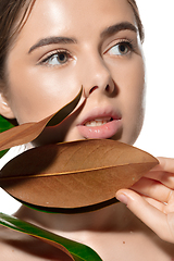Image showing Lovely. Close up of beautiful young woman with green leaves on her face over white background. Cosmetics and makeup, natural and eco treatment, skin care
