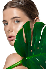 Image showing Youth. Close up of beautiful young woman with green leaves on her face over white background. Cosmetics and makeup, natural and eco treatment, skin care