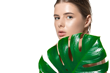 Image showing Secretly. Close up of beautiful young woman with green leaves on her face over white background. Cosmetics and makeup, natural and eco treatment, skin care