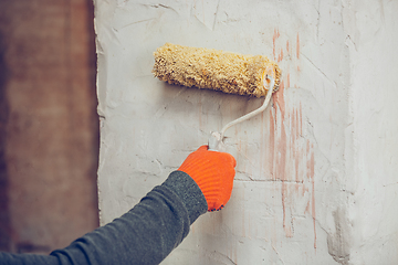 Image showing Close up of hands of repairman, professional builder working indoors, coloring the wall