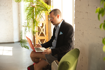 Image showing Young man without pants but in jacket working on a computer, laptop. Remote office during coronavirus, fun and comfortable work in underpants