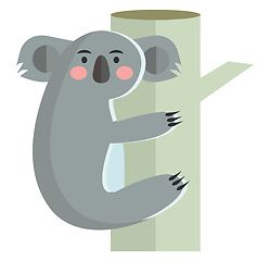 Image showing Koala is climbing tree vector or color illustration