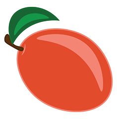 Image showing A mango vector or color illustration