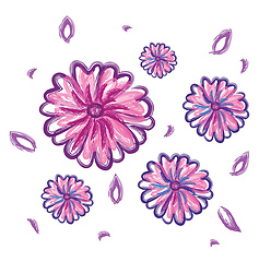 Image showing Calendula vector or color illustration