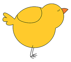 Image showing Yellow chick vector or color illustration