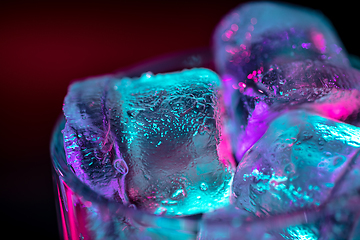 Image showing Close up of ice cubes in glass of alcoholic cocktail, beverage, drink in multicolored neon light