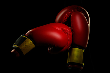 Image showing Professional sport equipment isolated on black studio background. Boxers red gloves.