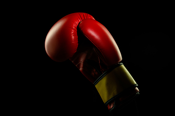 Image showing Professional sport equipment isolated on black studio background. Boxers red glove.