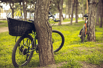 Image showing Bike left near tree with green and blooming nature around it. Countryside park, riding bikes, spending time healthy.