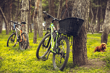 Image showing Bike left near tree with green and blooming nature around it. Countryside park, riding bikes, spending time healthy.