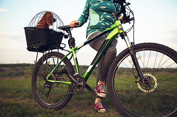 Image showing Young woman having fun near countryside park, riding bike, traveling with companion spaniel dog