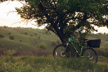 Image showing Bike left near tree with green and blooming nature around it. Countryside park, riding bikes, spending time healthy.