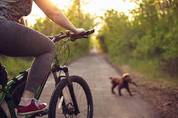 Image showing Young woman having fun near countryside park, riding bike, traveling with companion spaniel dog