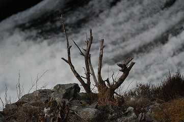 Image showing Waterfall