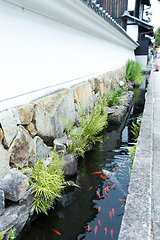 Image showing Koi fish swimming in canal at outdoor