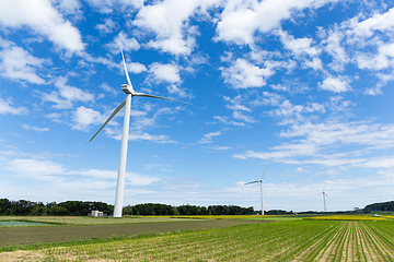 Image showing Green meadow with Wind turbines 