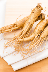 Image showing Korean Fresh Ginseng over wood background