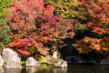 Image showing Japanese Kokoen Garden