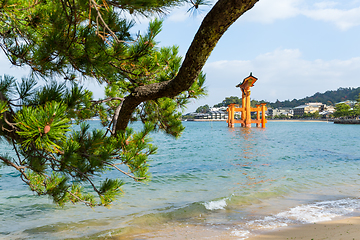 Image showing Japanese Itsukushima Shrine 