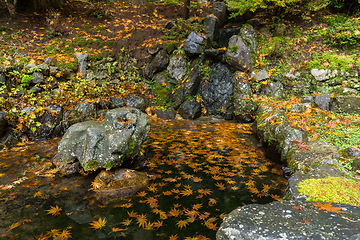 Image showing Japanese temple in autumn season