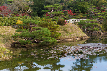 Image showing Japanese garden