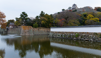 Image showing Marugame Castle