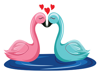 Image showing Pink and blue swan kissing in the water vector illustration on w