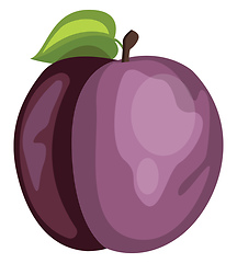 Image showing Vector illustration of a purple plum fruit with a green leaf  on