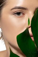 Image showing Organic. Close up of beautiful young woman with green leaves over white background. Cosmetics and makeup, natural and eco treatment, skin care.