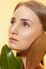 Image showing Feminine. Close up of beautiful female face with green leaves over white background. Cosmetics and makeup, natural and eco treatment, skin care.