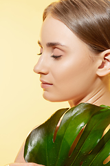 Image showing Shiny. Close up of beautiful female face with green leaves over white background. Cosmetics and makeup, natural and eco treatment, skin care.