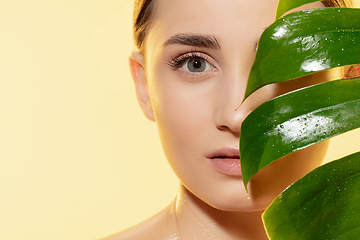 Image showing Look. Close up of beautiful female face with green leaves over white background. Cosmetics and makeup, natural and eco treatment, skin care.