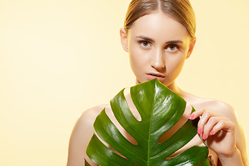 Image showing Shiny. Close up of beautiful female face with green leaves over white background. Cosmetics and makeup, natural and eco treatment, skin care.