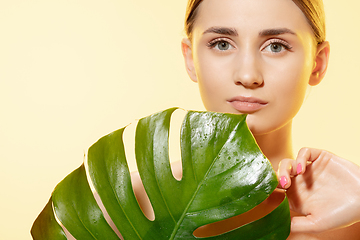 Image showing Shiny. Close up of beautiful female face with green leaves over white background. Cosmetics and makeup, natural and eco treatment, skin care.