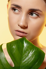 Image showing Clear. Close up of beautiful female face with green leaves over white background. Cosmetics and makeup, natural and eco treatment, skin care.