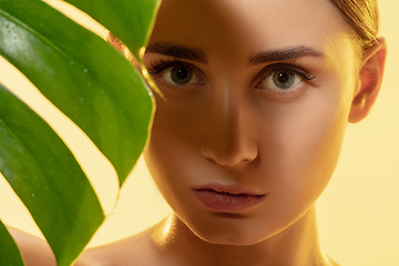 Image showing Look. Close up of beautiful female face with green leaves over white background. Cosmetics and makeup, natural and eco treatment, skin care.