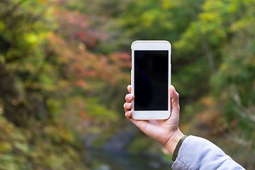 Image showing Woman holding blank screen of cellphone at forest