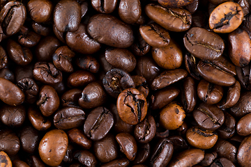 Image showing Brown coffee bean