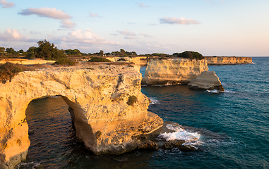 Image showing Italy, Santo Andrea cliffs in Puglia